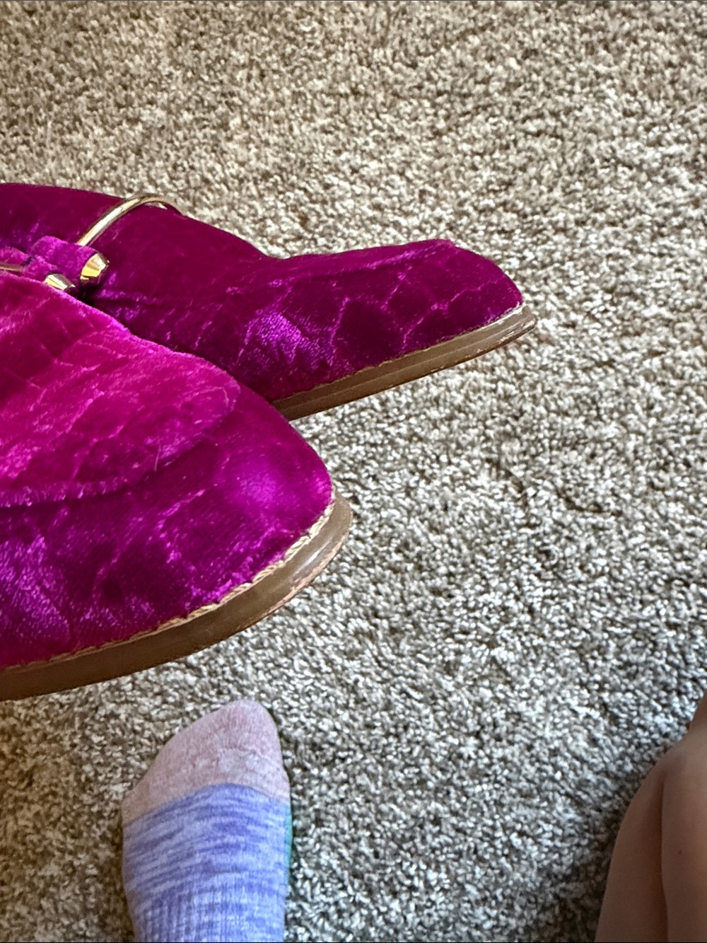 Steve Madden Fuchsia Velvet Slip-On Mules with Gold Accent - Picture 3 of 5